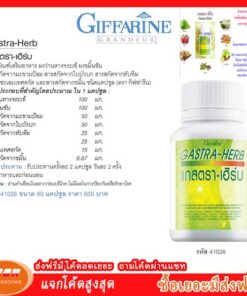 Giffarine ผลิตภัณฑ์เสริมอาหาร ผงว่านหางจระเข้ ผงขมิ้นชัน สารสกัดจากมะขามป้อม และอื่นๆหลายชนิด กีฟฟารีน 41026